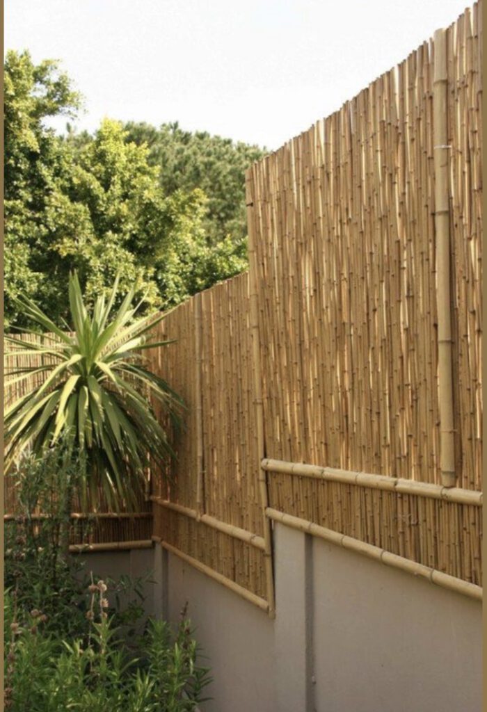 bambu çit